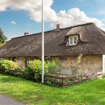 Reetdachhaus zur Sandkuhle Ostenfeld  Exterior foto
