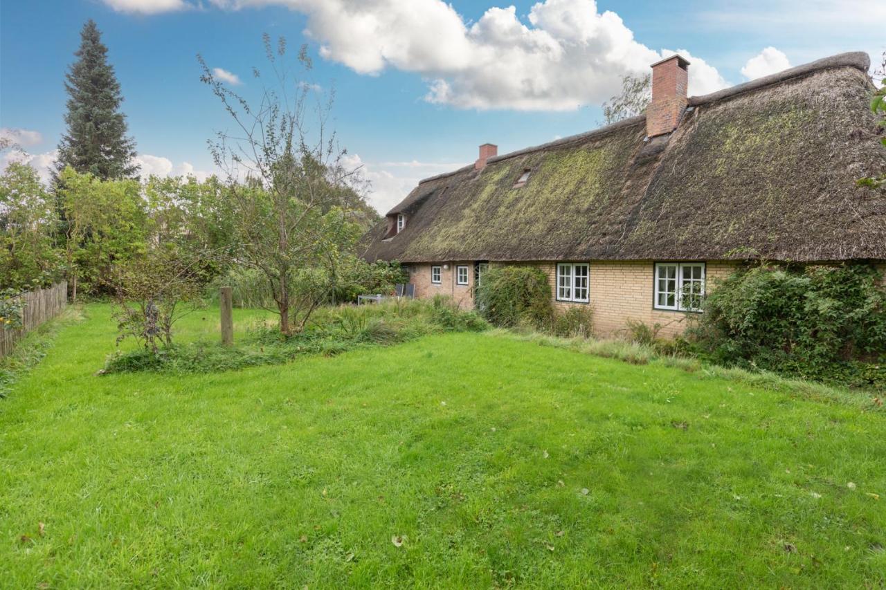 Reetdachhaus zur Sandkuhle Ostenfeld  Exterior foto