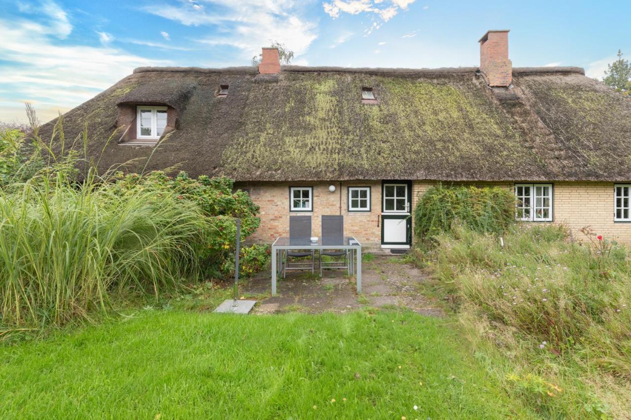 Reetdachhaus zur Sandkuhle Ostenfeld  Exterior foto