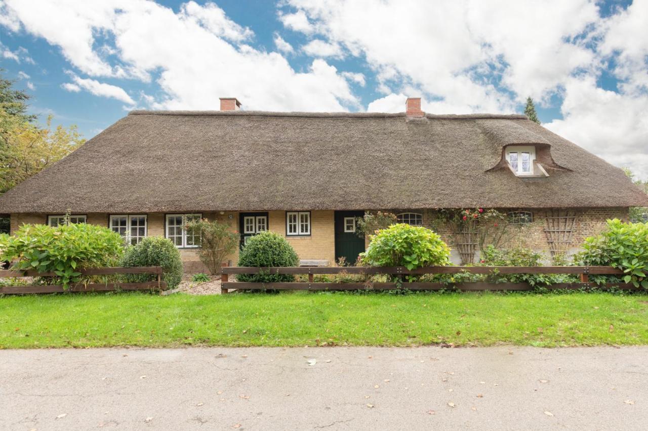 Reetdachhaus zur Sandkuhle Ostenfeld  Exterior foto